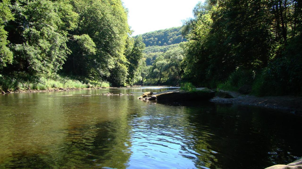 Camping Wies-Neu Dillingen Экстерьер фото