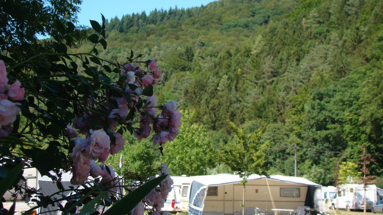 Camping Wies-Neu Dillingen Экстерьер фото